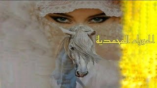 السيرة العطرة الزكية عن الغضة الحوراء المحمدية - كلمات وأشعار السيد محي الدين ابن عربي