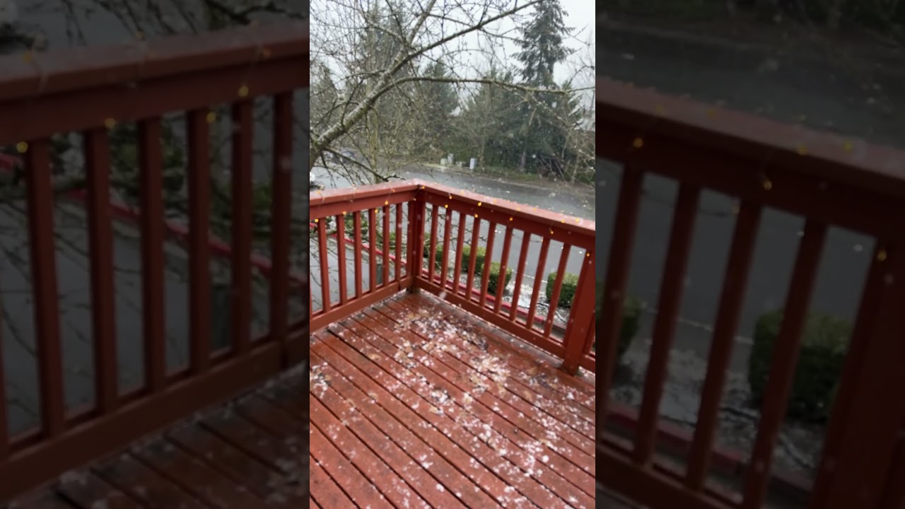 Snow in Bothell Washington 