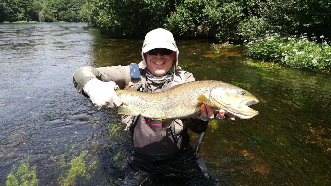 Fly fishing ---- Pesca a mosca de truchas en el coto del chorron (Rio Tormes Salamanca)
