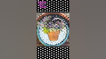 🤩DIY Gardening Clay Pots Ideas HD  #shorts #WaveVideoADay