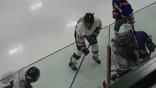 Acton Boxborough Girls Varsity Ice Hockey vs Wayland 1/17/18