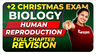 Plus Two Christmas Exam Biology | Human Reproduction | Full Chapter | Exam Winner