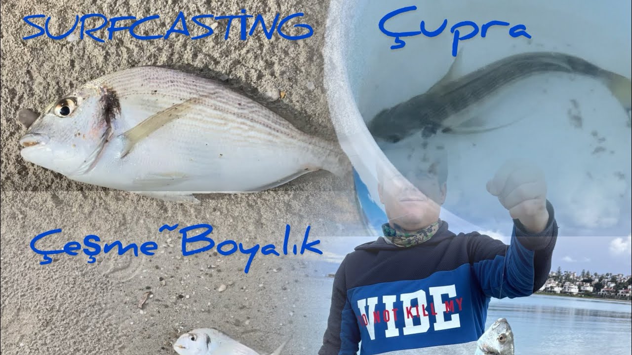 ÇEŞME’DE ÇİPURA ,KARAGÖZ BALIK AVIMIZ.ABONE OLALIM☺️ SURFCASTİNG #balıkavı #surfcasting #fishing 