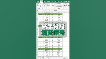 分段的序号你都是怎么填充的？高手教你5秒搞定✅#excel #office办公技巧 #办公软件 #0基础学电脑 #职场