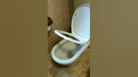 Coperchio per wc Soft Close