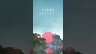 Domek releases his first two-tracker on Ibogatech incl. Future World & Become One.