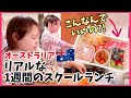 オーストラリアの小学生はどんなお弁当持って行く?リアルな1週間のお弁当!オーストラリア4人家族