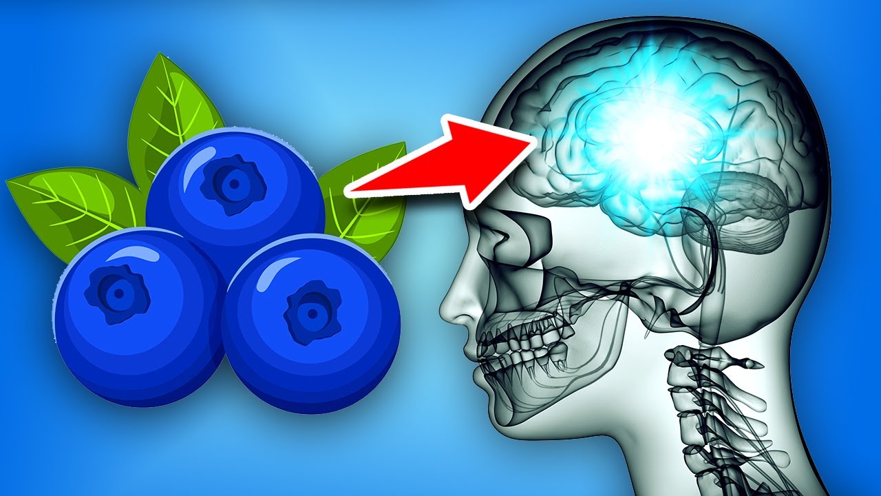 12 Insane Health Benefits Of Blueberries YouTube