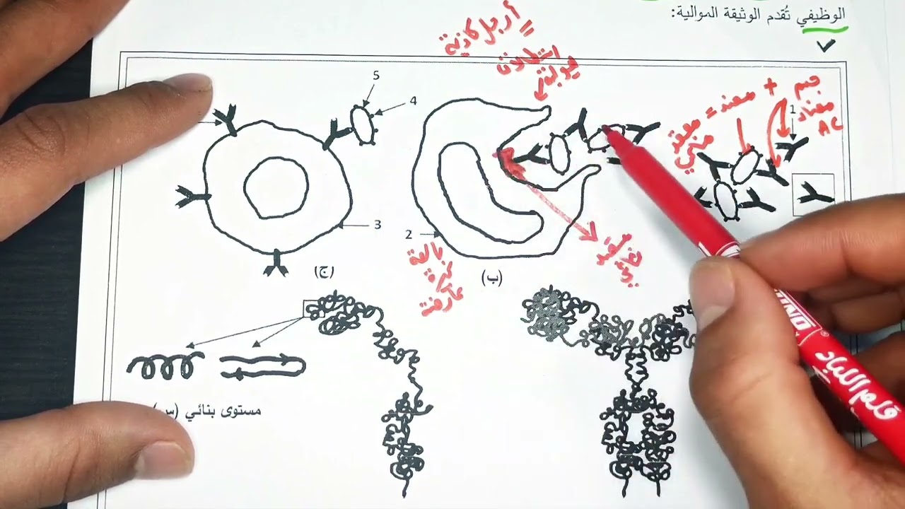 حل موضوع بكالوريا 2022