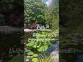 HIDDEN GEM IN THE CITY #virginia #hiddengems #norfolkva #shorts #youtubeshorts #viral #valorant