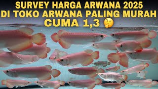 Download Lagu ONDERZOEK NAAR DE LAATSTE PRIJZEN VAN SUPER RED ARWANA EN ANDERE ARWANA-TYPES 2025 GOEDKOOPSTE AR... MP3 Download Lagu ONDERZOEK NAAR DE LAATSTE PRIJZEN VAN SUPER RED ARWANA EN ANDERE ARWANA-TYPES 2025 GOEDKOOPSTE AR... MP3