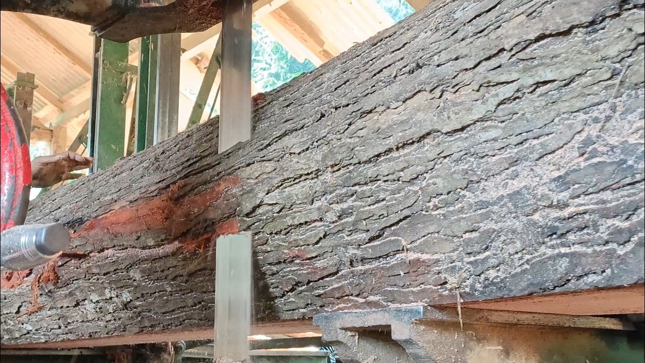 The beauty of the hidden fibers of the knife strokes is amazing. 