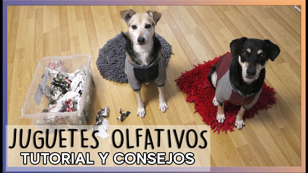 Alfombra Olfativa Perros Desgaste Juguetes Interactivos para