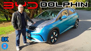 2024 BYD Dolphin: The BEST value hatchback | 8K by Tech In The Car 3,299 views 5 months ago 15 minutes