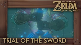 Zelda Breath of the Wild - Trial of the Sword (Final Trials)