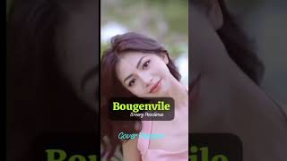 Lagu Cover  Bougenville  Broery Pesolima