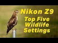 Nikon Z9 Top Five Wildlife Settings