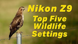 Nikon Z9 Top Five Wildlife Settings