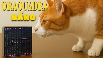 SH242 -  ORAQUADRA Nano, L