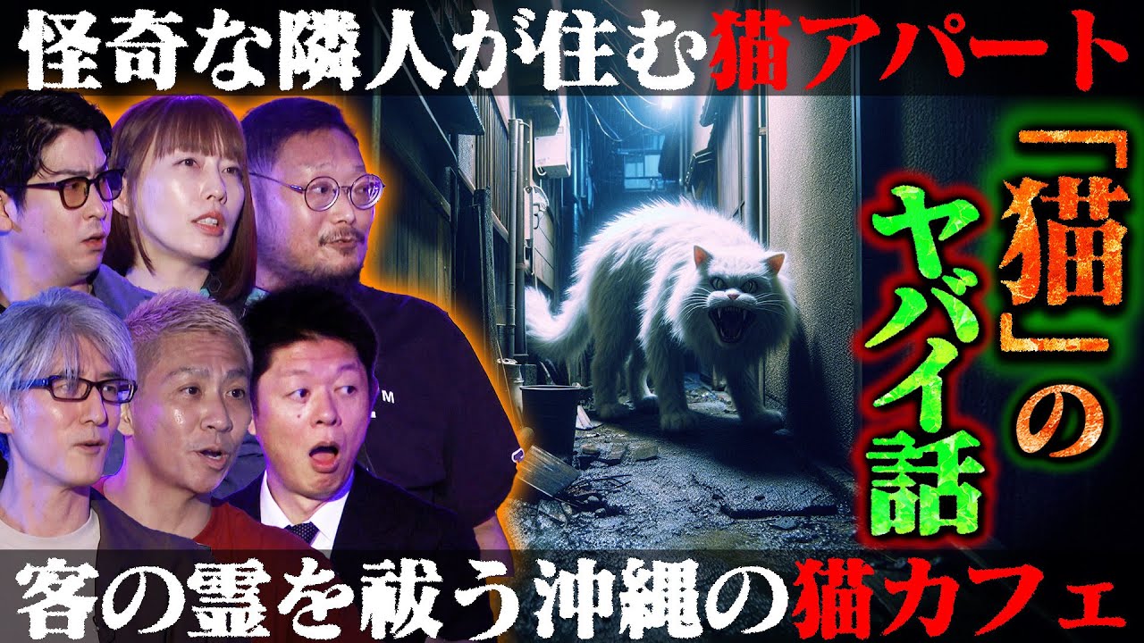 【初耳怪談】※たっくー実体験※風呂場で猫を●していた!?