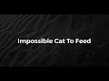 Impossible cat to feed