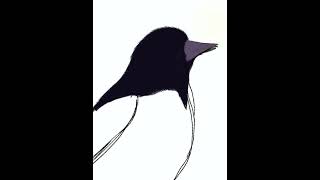 Making a bird in Procreate #procreateart #bird#procreateart