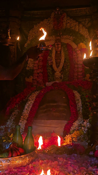 கண் முன்பாக காண்பது உனதுருவம் கண்டுகளித்தேன் சேர்மா என்உயிர்  உருக உள்ளம் உருக சேர்மா  என அழைத்தேன்🙏
