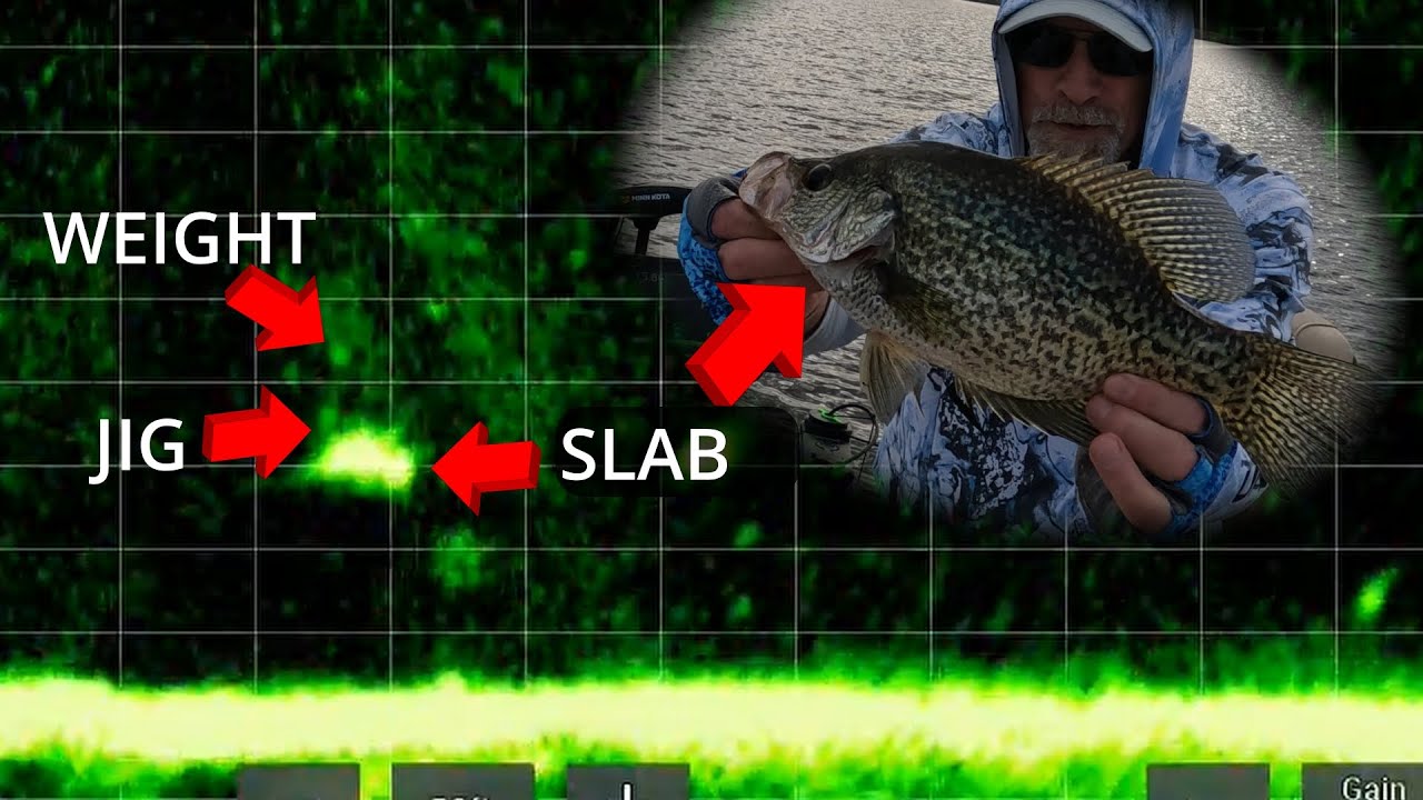 LIVESCOPE CRAPPIE – NOVEMBER 2024 – Catching em' with JIGS - YouTube