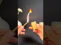 I can’t pick ome 😭 #coolgadgets #coollighters #torch
