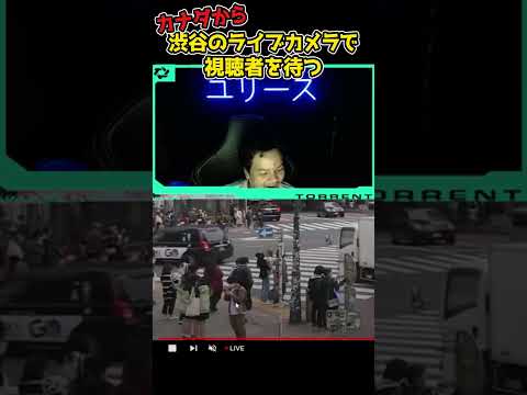 【Euriece/ユリース】カナダから渋谷のライブカメラで視聴者を待つ #shorts