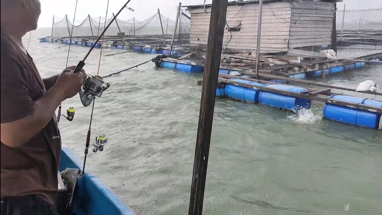 15/02/2026 Trip Mancing at Sangkar Sungai Udang Penang 
