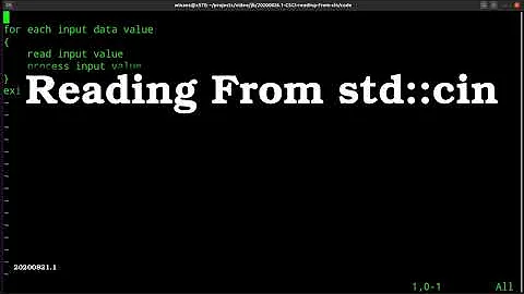 C++ Reading Data From std::cin