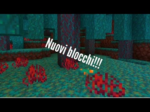 Vediamo nuovi blocchi della 1.16 di minecraft!!! - YouTube