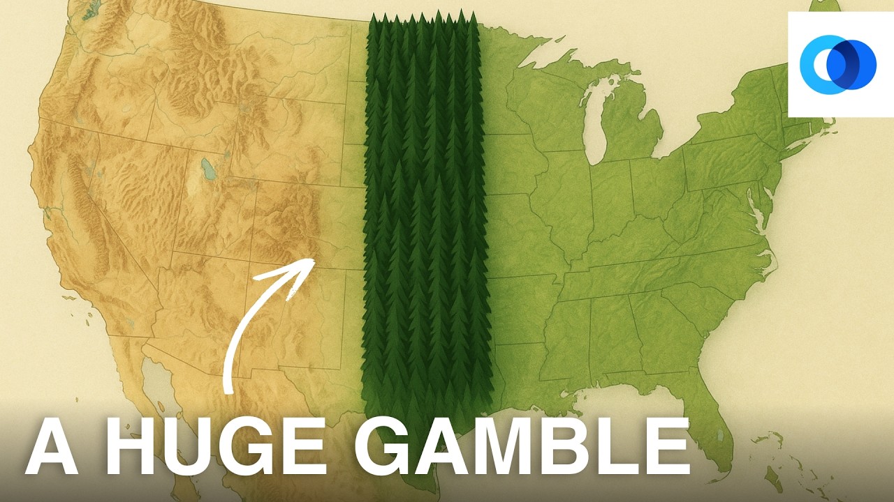 Why America Built A Forest From Canada To Texas