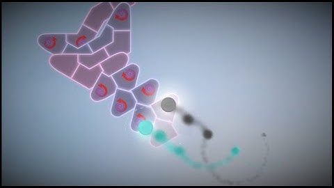 얼불춤 커스텀 맵 #12 | かめりあ(Camellia) - 2021年の魔法使いたち 【non-effect】