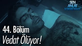 Download Vedat ölüyor! - Sen Anlat Karadeniz 44. Bölüm Video MP3 Vedat ölüyor! - Sen Anlat Karadeniz 44. Bölüm