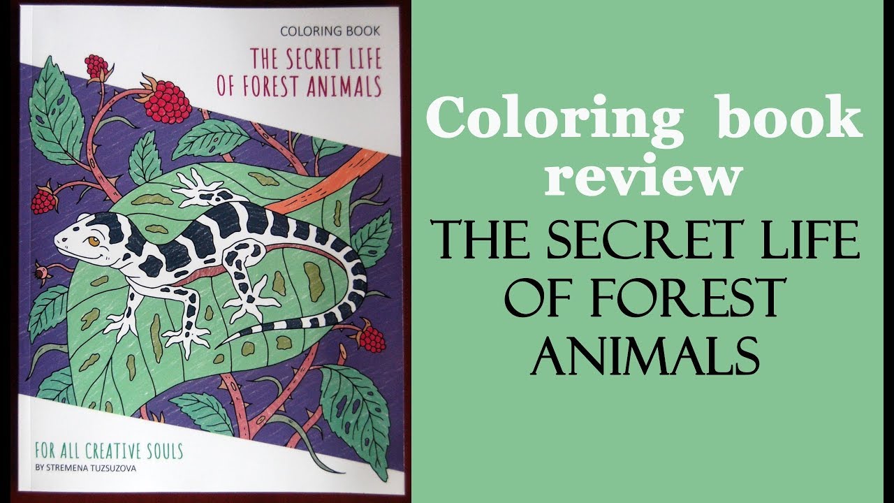 'Secret life of forest animals' Coloring book review