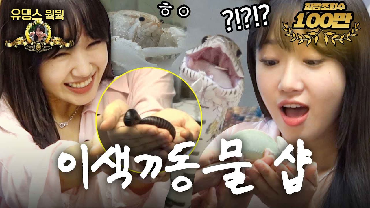 한탕💰 노리고 갔다가 희귀동물한테 후드려 맞은 사연은? 🐍🕷️🦎 | [유댕스 웤웤] | Ep.1(이색동물펫샵 편)(feat.정브르)
