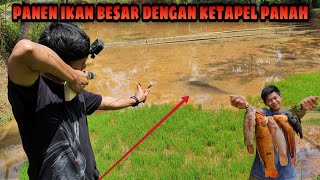 Berburu Ikan Besar dengan Ketapel Panah di Kampung Halaman Kakek | Catch Fish with Slingshot