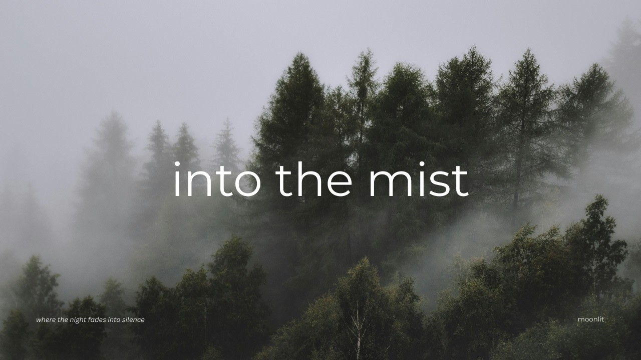 ambient forest for sleep (2 hours) | into the mist — calming night soundscape