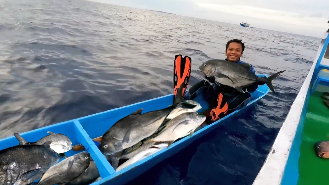 Spearfishing Moments Black Giant Trevally On Atol Coral