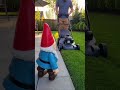 Lawn Care Gone Wrong (Blame the Gnome)