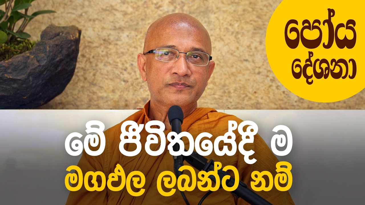 මේ ජීවිතයේදීම මගඵල ලබන්ට නම්.. —දක්ෂ ගොවිකමේ උපමාව