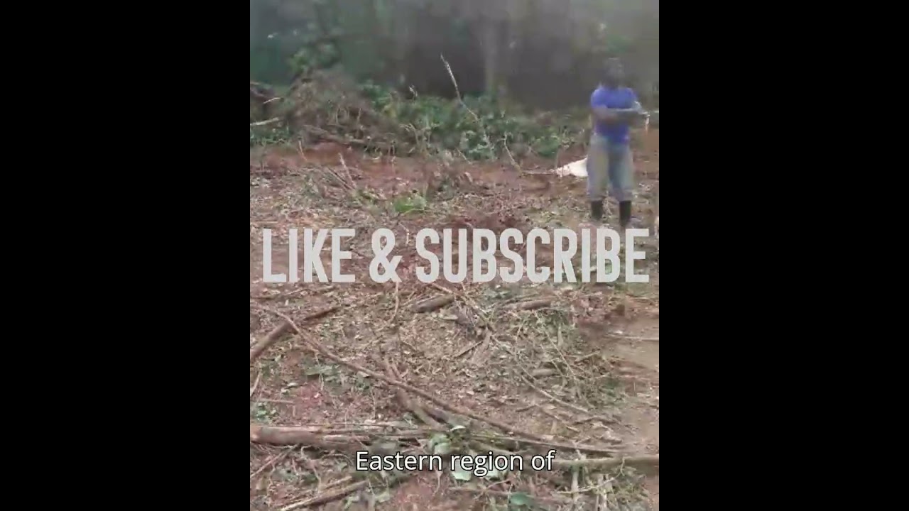 Day in the life of the PRC Taskforce