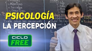 PSICOLOGÍA  Percepción [CICLO FREE]