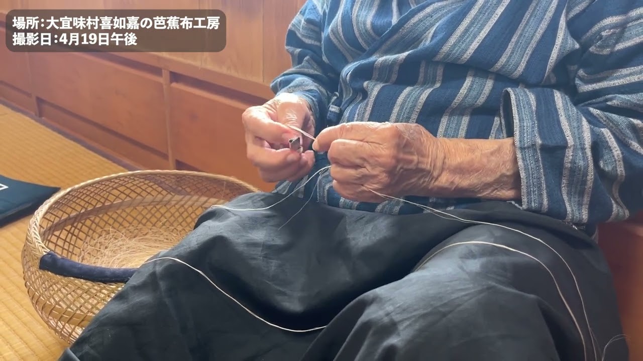 大宜味村の「喜如嘉の芭蕉布」 脈々と続く職人の技 国の重要無形文化財