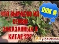 ШОК !!! Что вырасло из семян заказанных в Китае на Aliexpress?