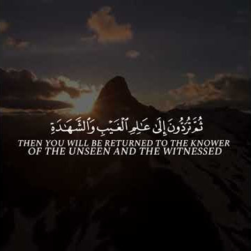 Surah Al - Jumu'ah ( 62 : 8 ) 🌟 WhatsApp status