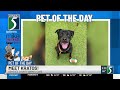TV5 Pet of the Day: Meet Kratos!