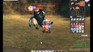 Bug Siege making FAST DELAY GL.avi